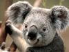keithdexter's picture